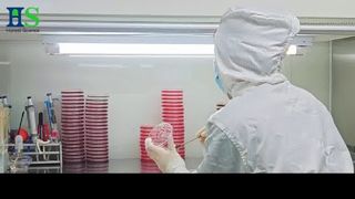 Seri Membran Cangkang Telur ELASEM®: Solusi Bahan Baku untuk Kesehatan & Kecantikan Sendi
