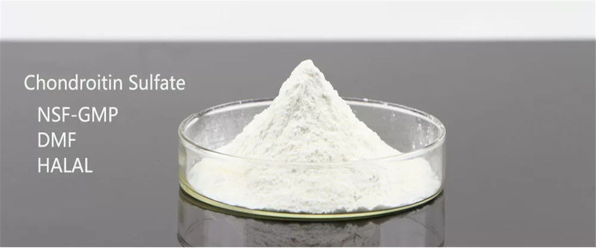 Cina terbaik Chondroitin Sulfate Calcium penjualan