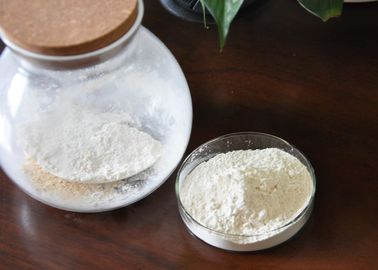Kalsium Chondroitin Sulfat Bubuk Putih NSF-GMP Terverifikasi
