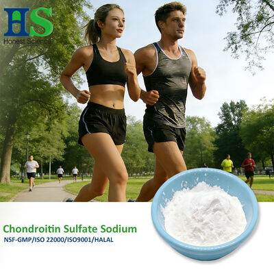 GMP Approved Chondroitin Sulfate Sodium Powder for Bone and Joint Health