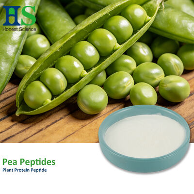 customizable Hydrolyzed Pea Protein Peptide Powder Pea Extract Powder