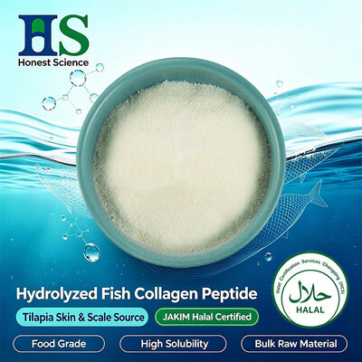JAKIM Halal Sertifikat Tilapia Kulit & Skala Kolagen Peptida Powder. Bahan baku Produsen Kolagen Laut Hidrolisis