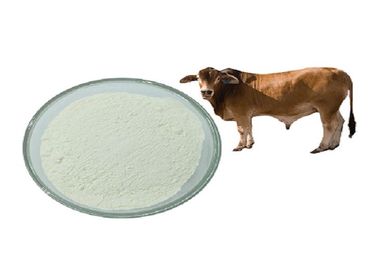 USP39 Kelas Chondroitin Sulfate Sodium Diekstraksi Dari Bovine Cartilage Untuk Kesehatan Sendi