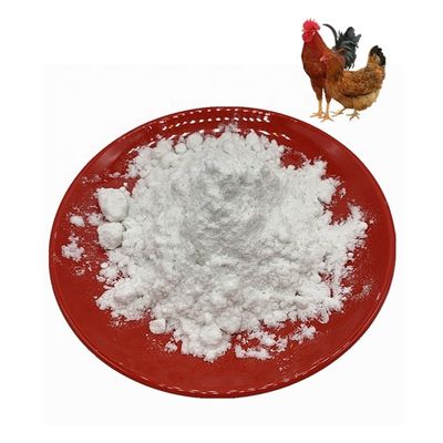 Mengobati Osteoarthritis White Chicken Sternum Collagen Type 2